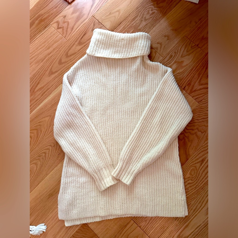 Free People Turtleneck Sweater